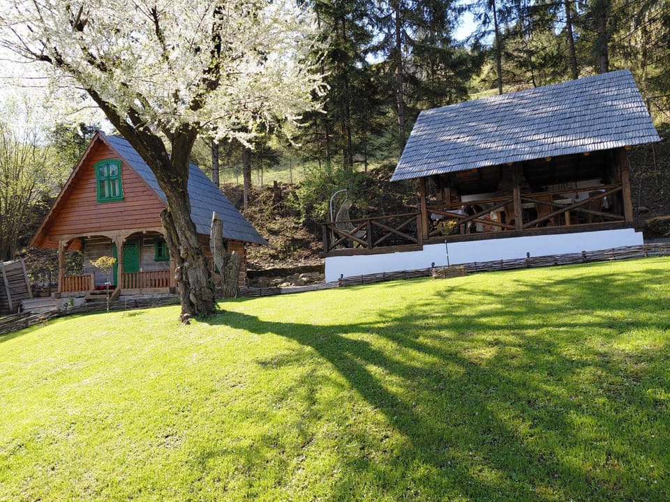 Casa Grosu House in Romania