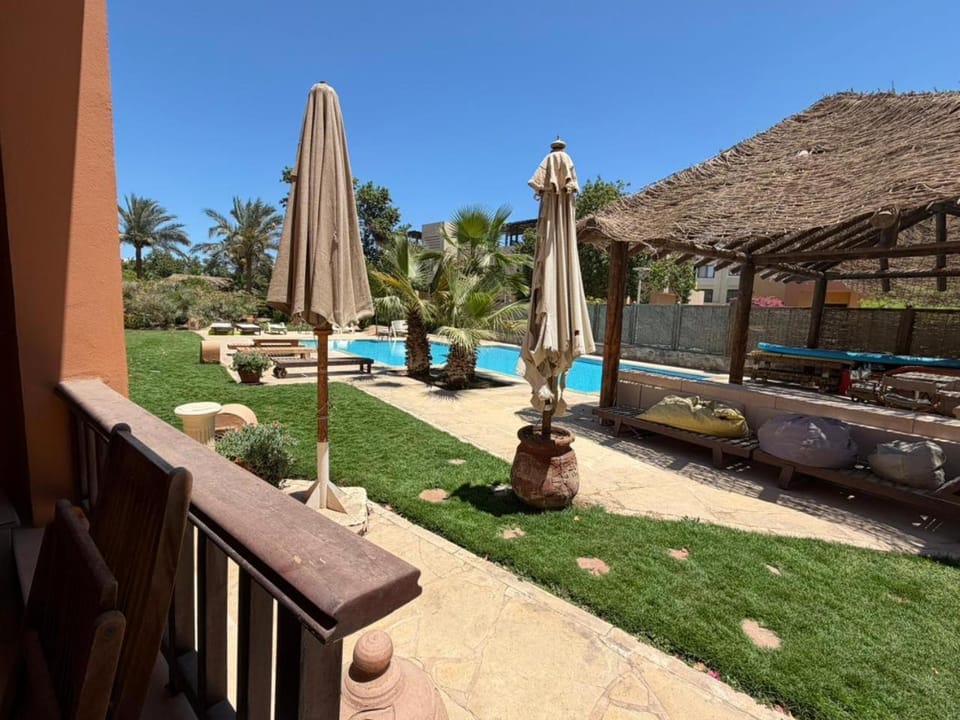 Garden, Pool view, Swimming pool, sunbed