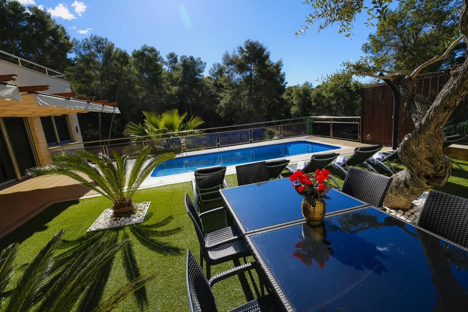 Patio, Garden, Garden view