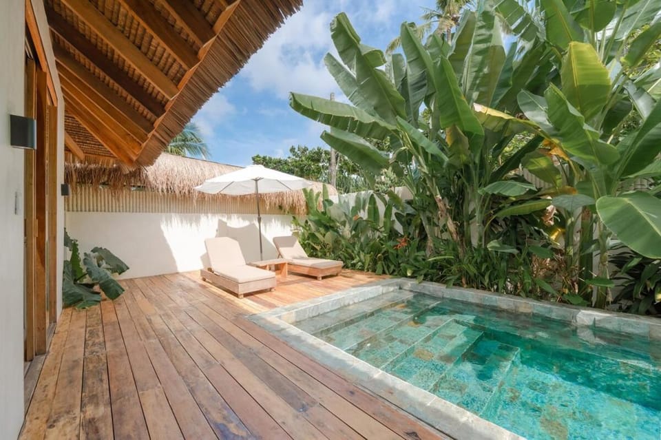 Day, Natural landscape, Garden, Garden view, Pool view, Swimming pool, sunbed