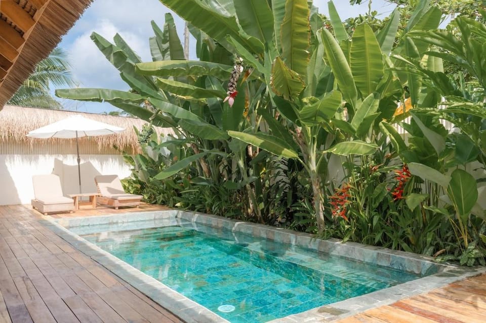 Day, Natural landscape, Garden, Garden view, Pool view, Swimming pool