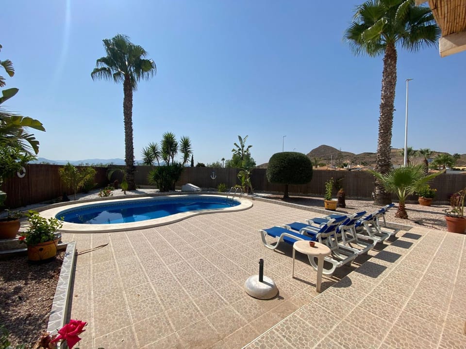 Garden, Swimming pool, sunbed