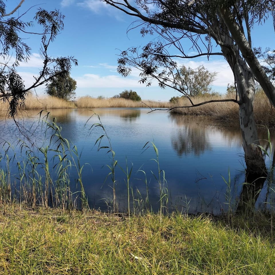 Natural landscape, View (from property/room), Lake view