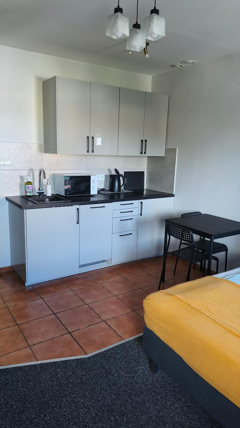 Skandi Studio Apartment in Lower Silesian Voivodeship