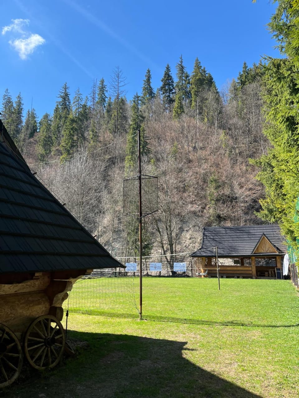 Spring, Day, Natural landscape