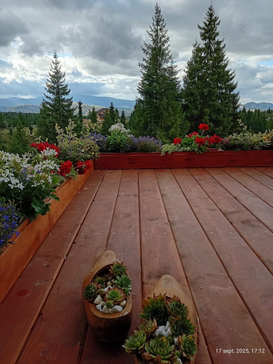 Garden view