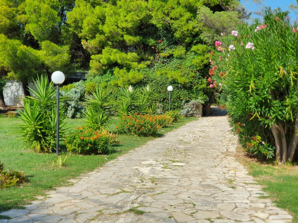 Garden view