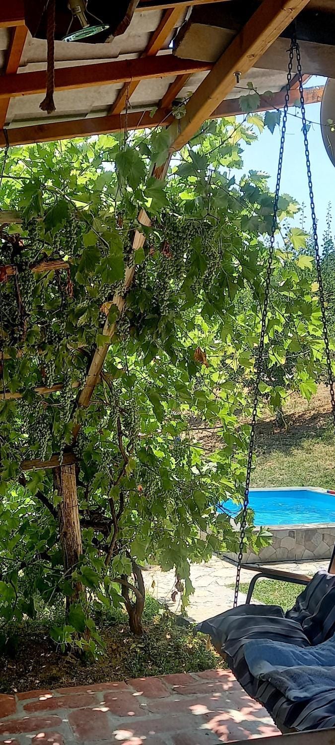 Negovanovic Vikendica Apartment in Serbia