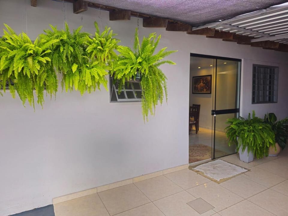 Patio, Garden