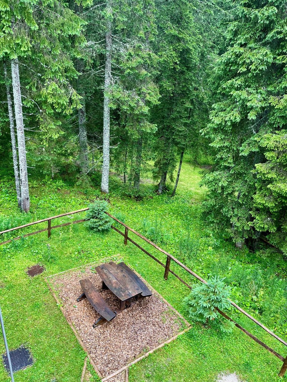 Natural landscape, Garden, Garden view