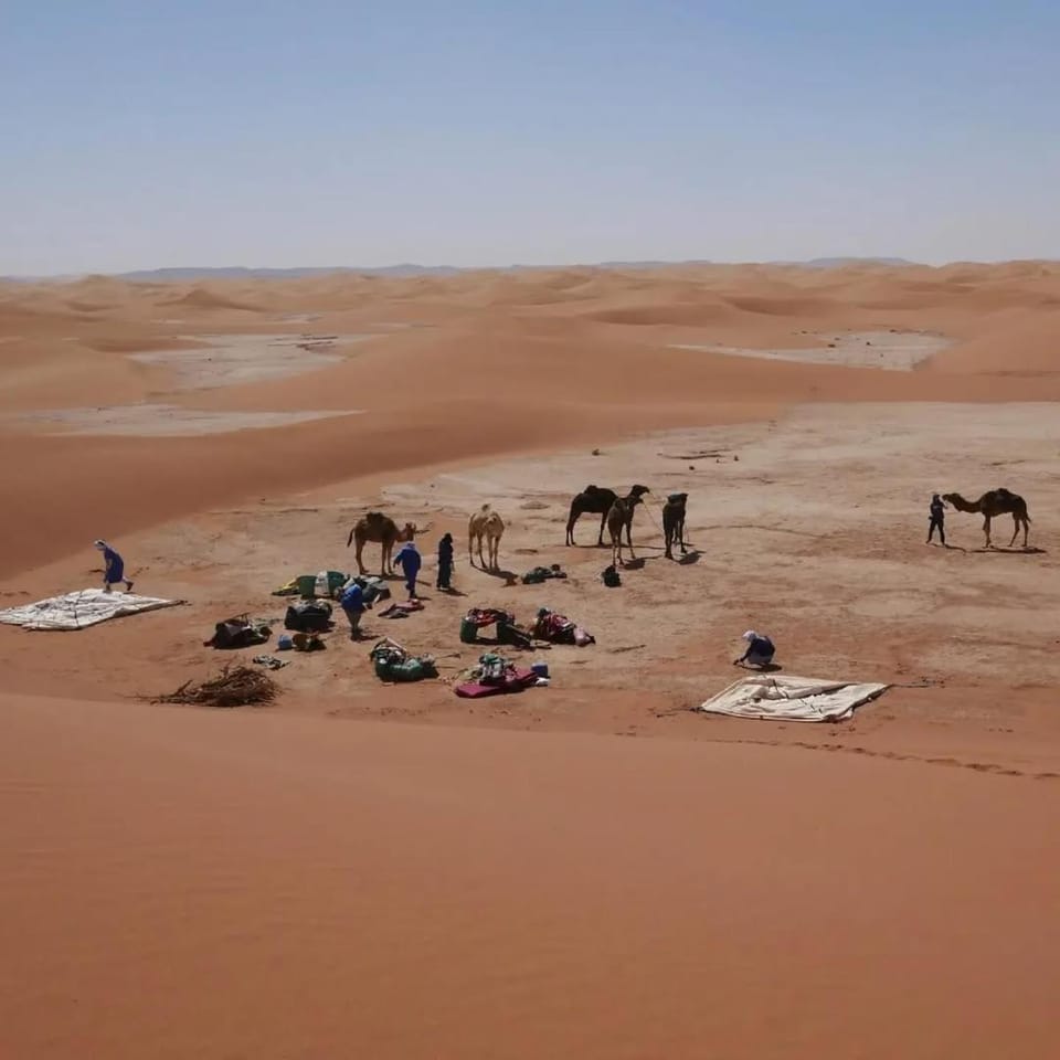 Casa de las Estrellas Campground/ 
RV Resort in Morocco