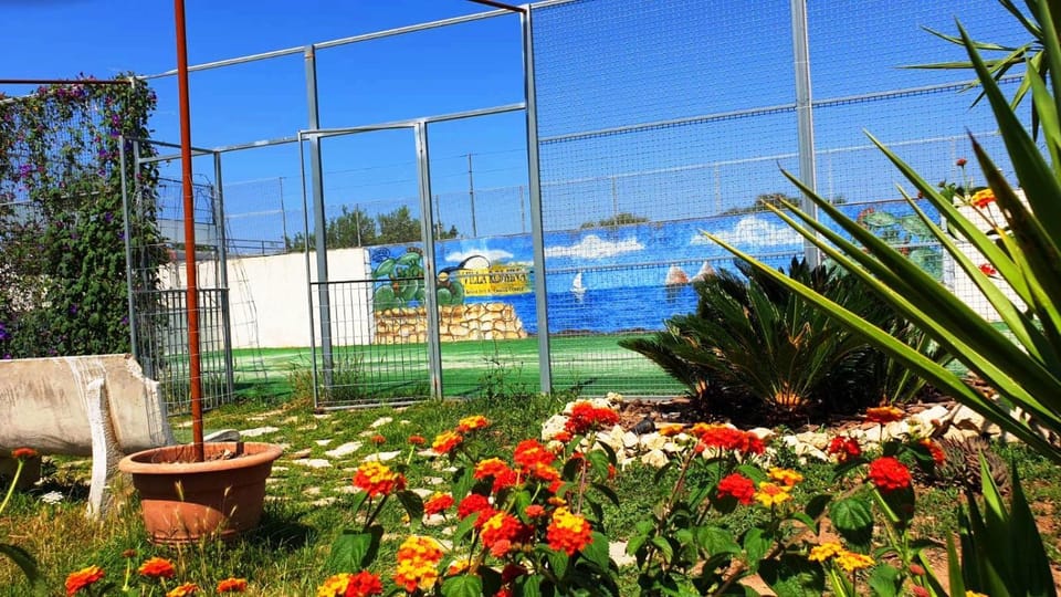 Garden, Garden view