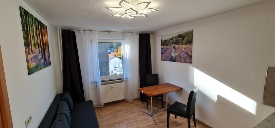 2 Room Flat near Uni Campus Siegen - BR Apartment in Siegen