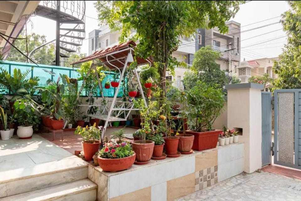 Garden view