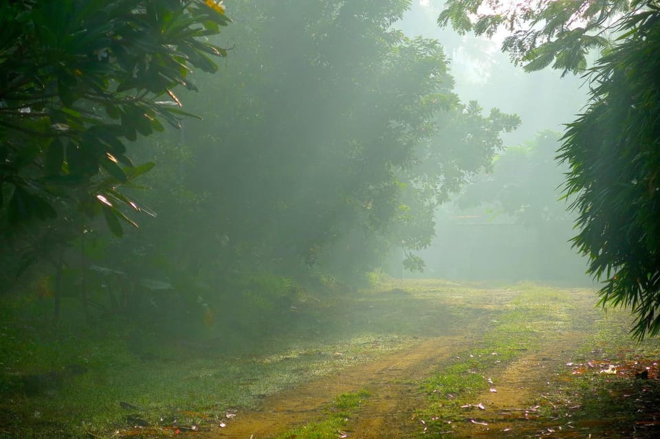 Clayfingers Art Cottage House in Kerala