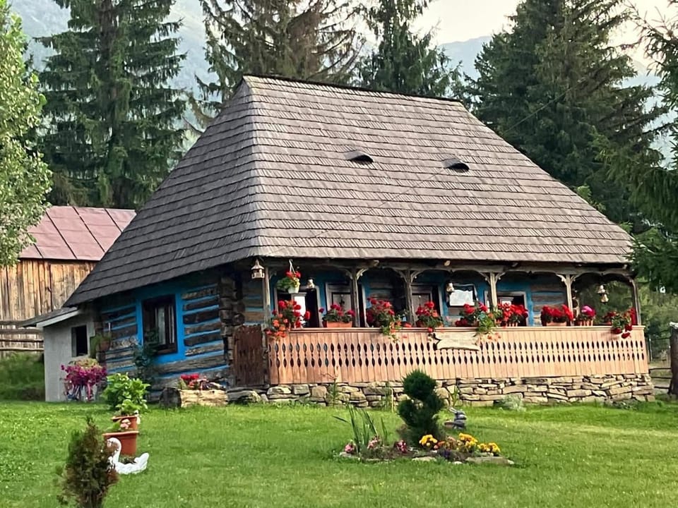 Căsuța Floarea Reginei House in Romania
