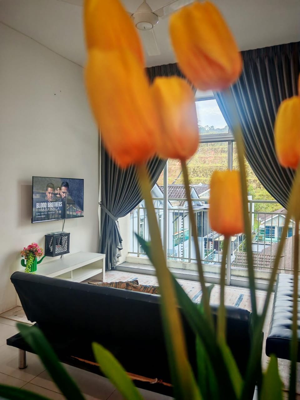 TV and multimedia