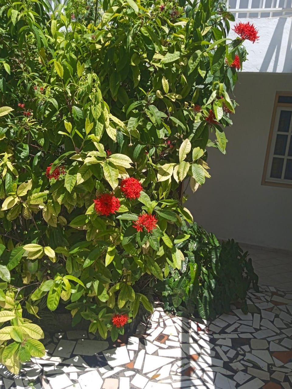 Les jardins de VALENTIN Apartment in Le Gosier