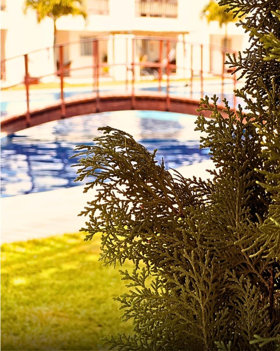 Garden view
