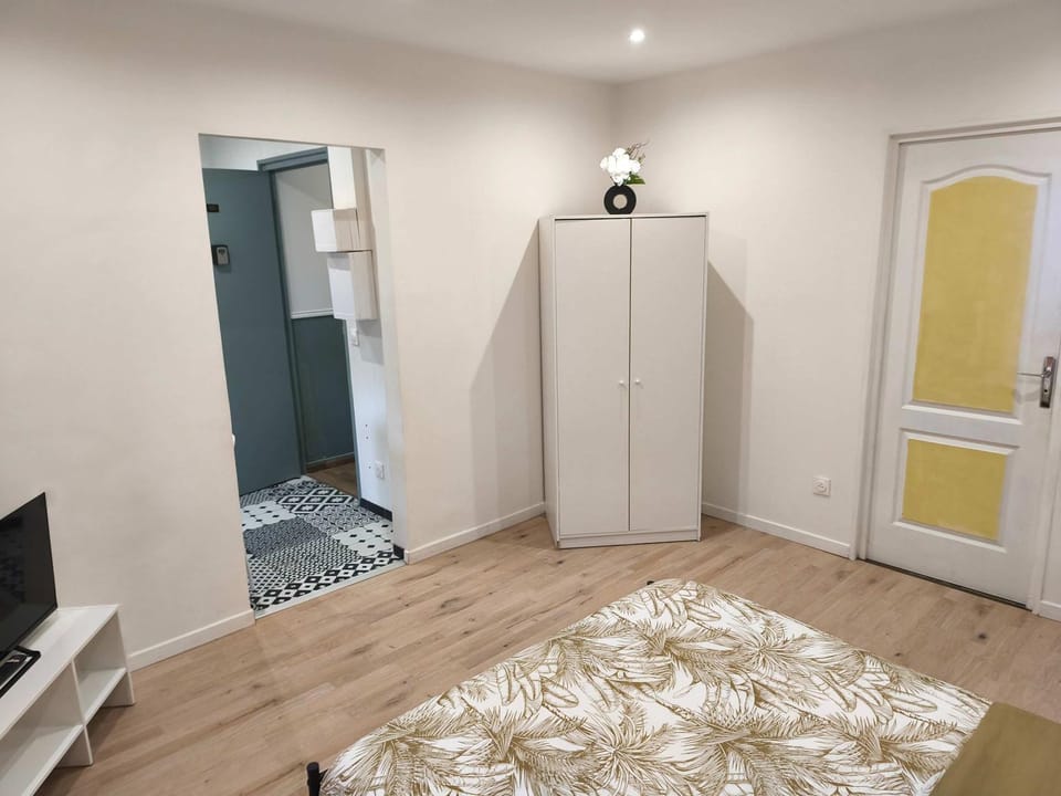 Studio budget avec parking Apartment in Grand Est