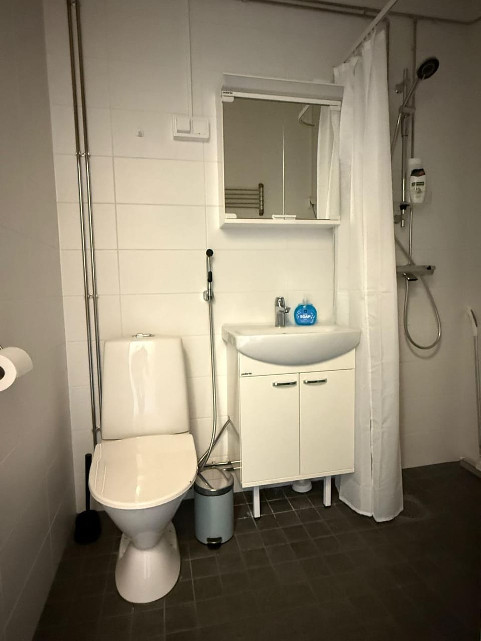 Toilet, Bathroom