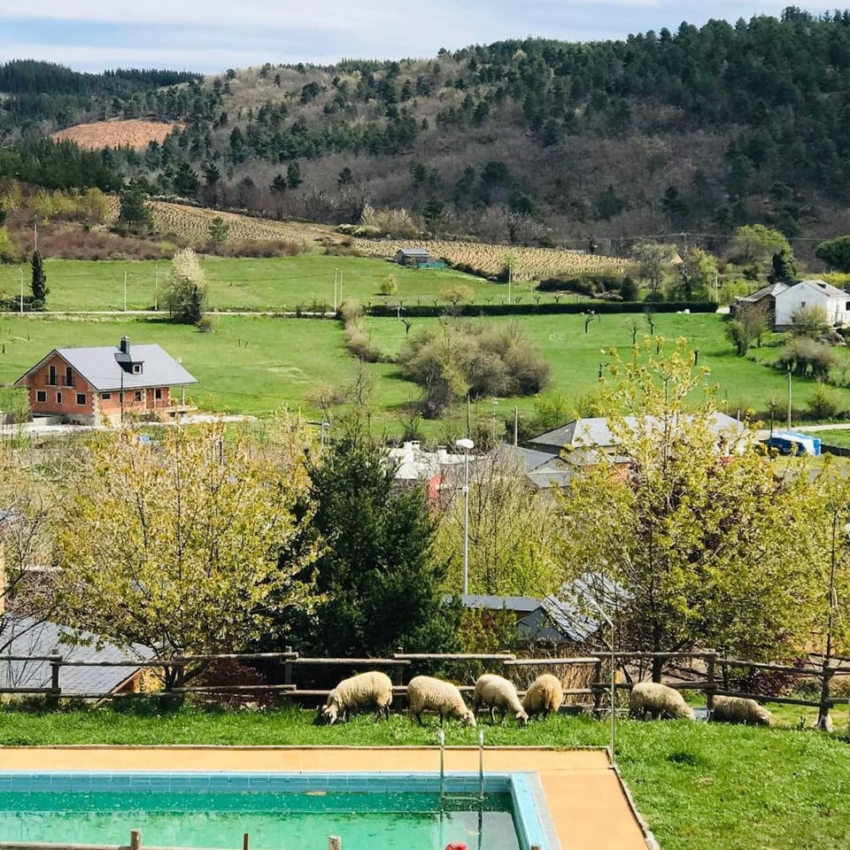 Mountain view