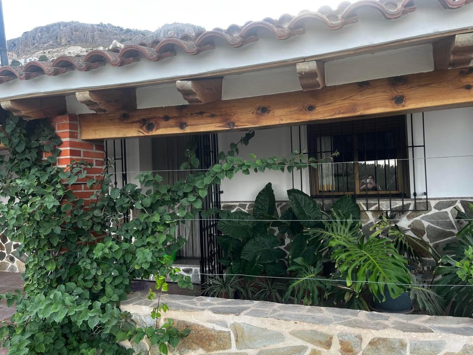 Garden, Garden, Balcony/Terrace