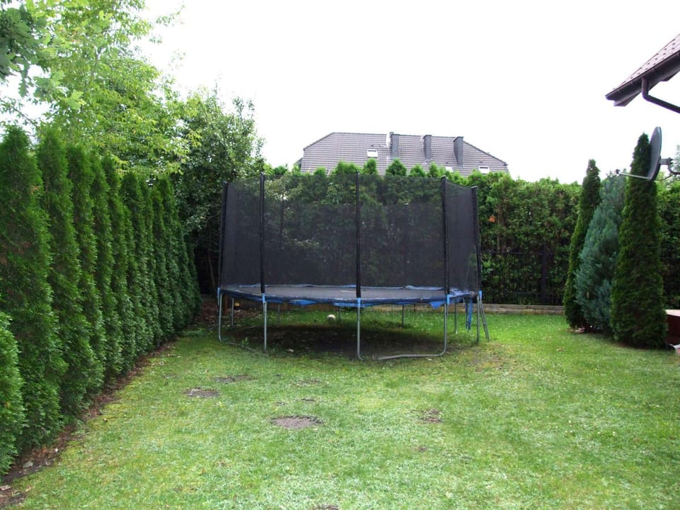Spring, Day, Garden, Garden view