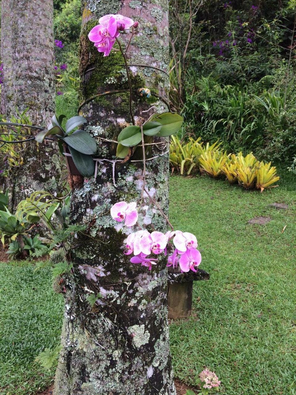 Spring, Day, Garden, Garden view