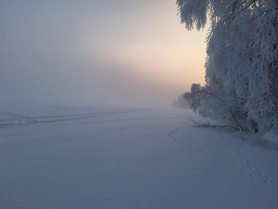 Winter