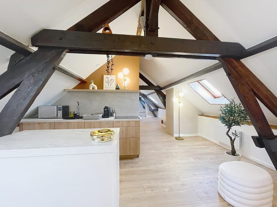 Kitchen or kitchenette, kitchen