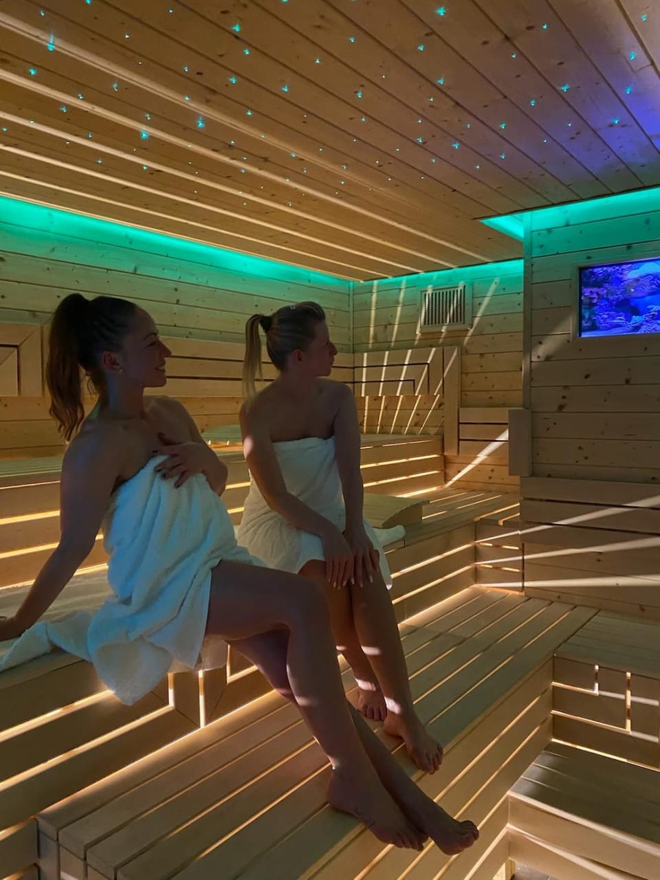 Sauna, Spa and wellness centre/facilities