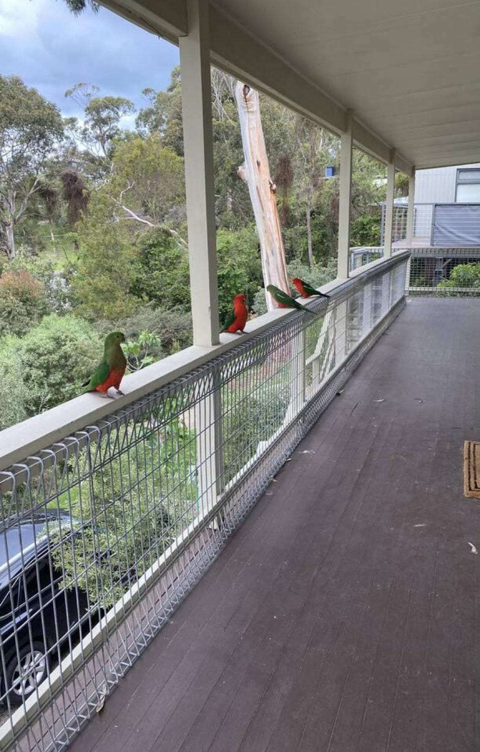 Prasino in Central Lorne House in Lorne