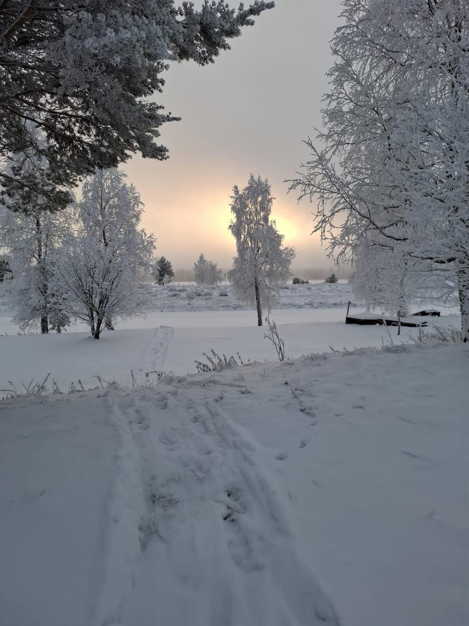Villa Tuomaa - Authentic Riverside Residence Villa in Rovaniemi