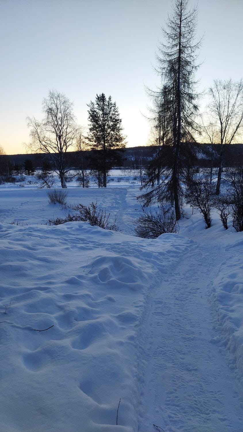 Villa Tuomaa - Authentic Riverside Residence Villa in Rovaniemi