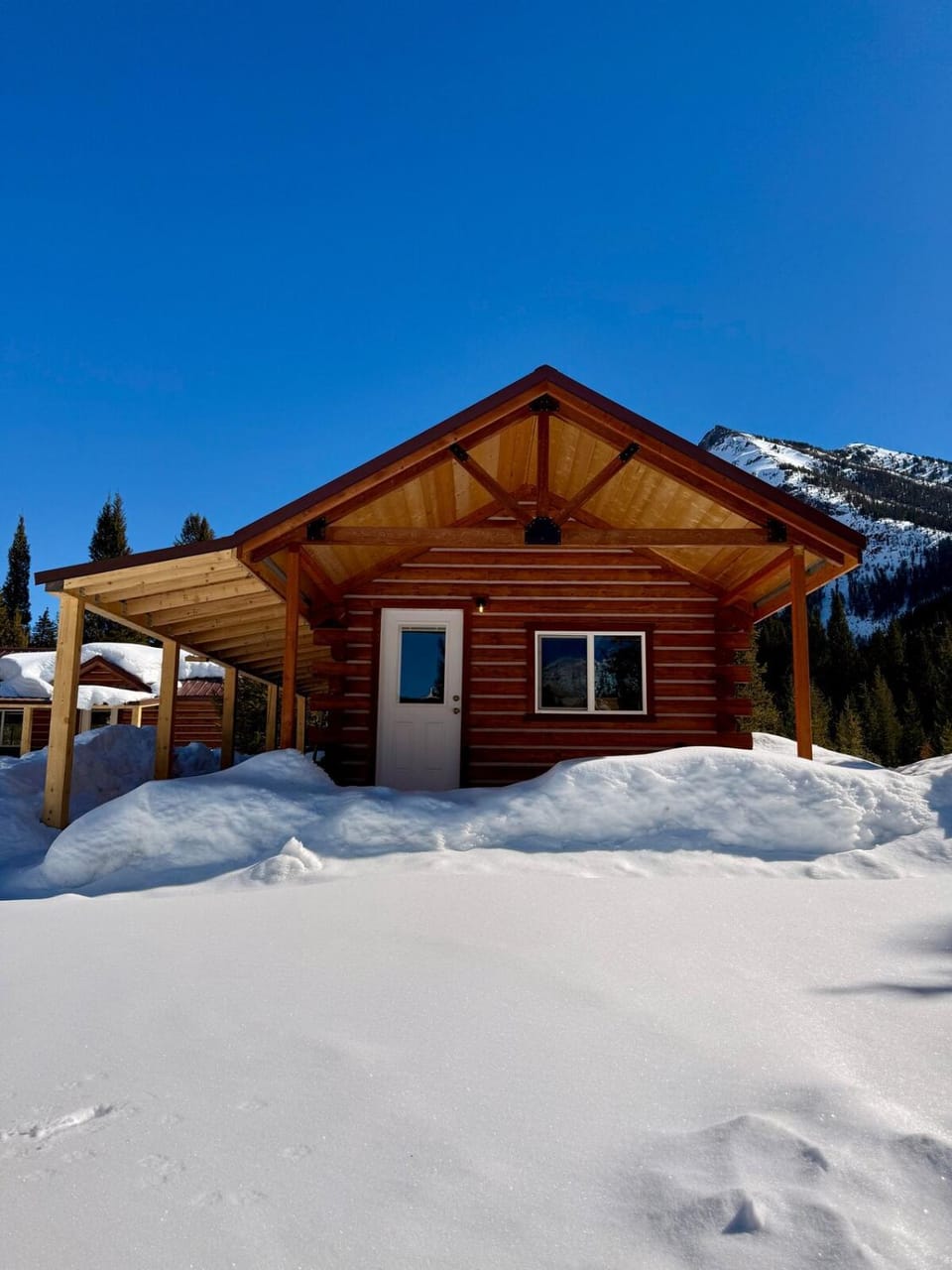 Index Peak Cabin Cabin in Cooke City-Silver Gate