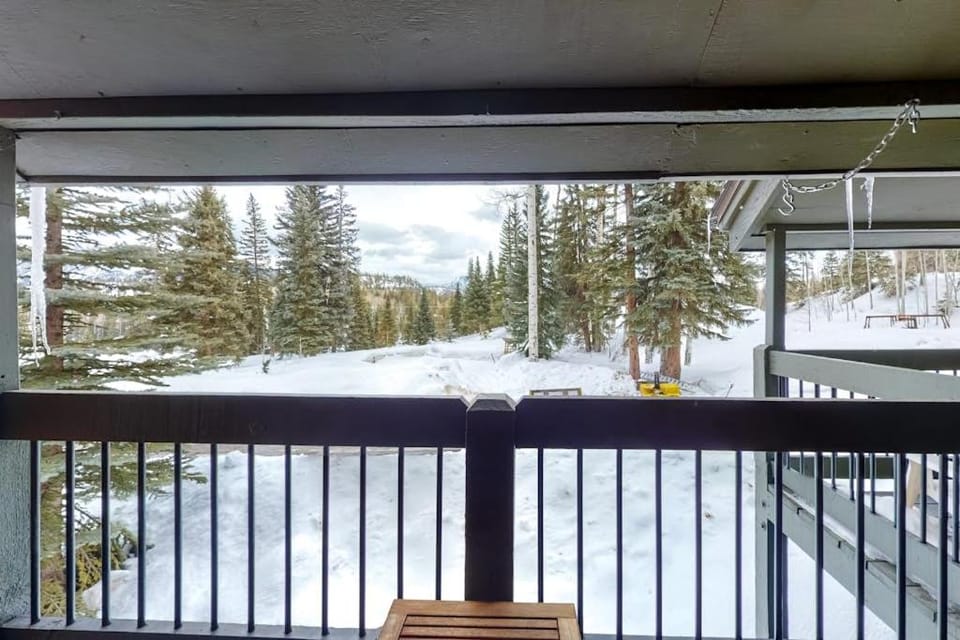 Silverpick #303 - River Rock Retreat Apartment in La Plata County