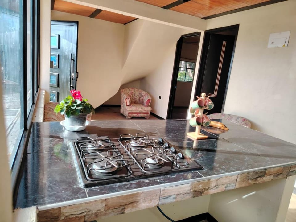 Kitchen or kitchenette, Lobby or reception, Dining area, pet friendly, stove