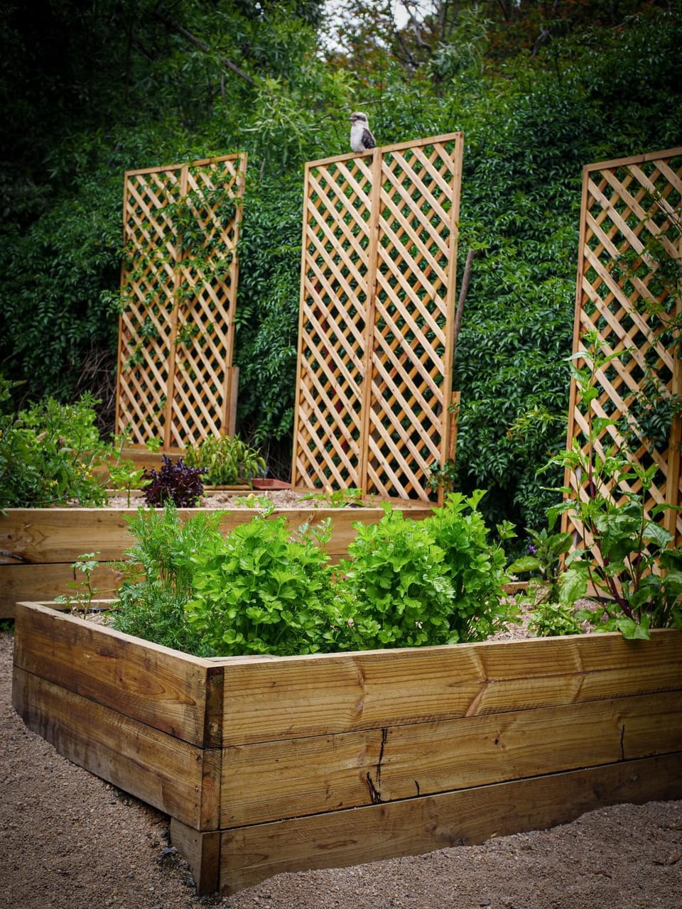 Garden, Garden view