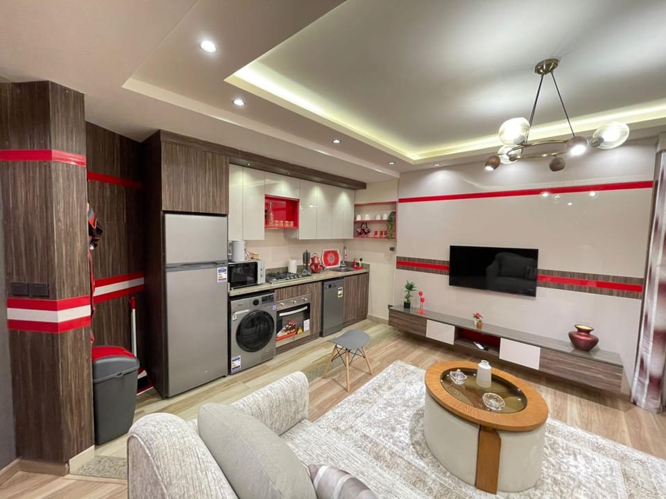 TV and multimedia, Kitchen or kitchenette, Photo of the whole room, Seating area, dishwasher, oven, stove