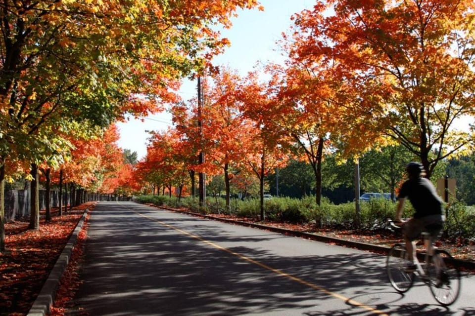 Nearby landmark, Natural landscape, Autumn, Lake view