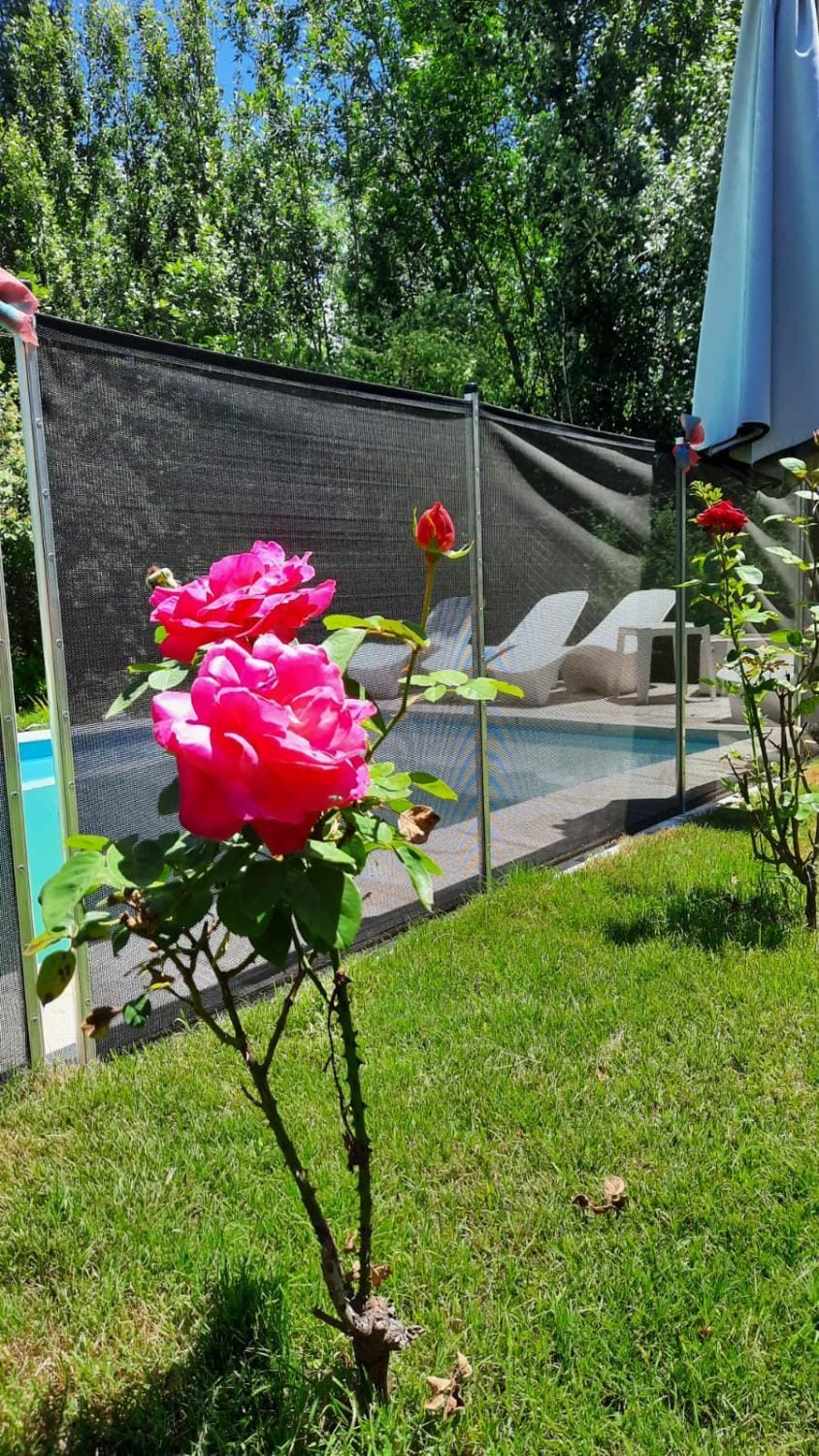 Garden, Swimming pool