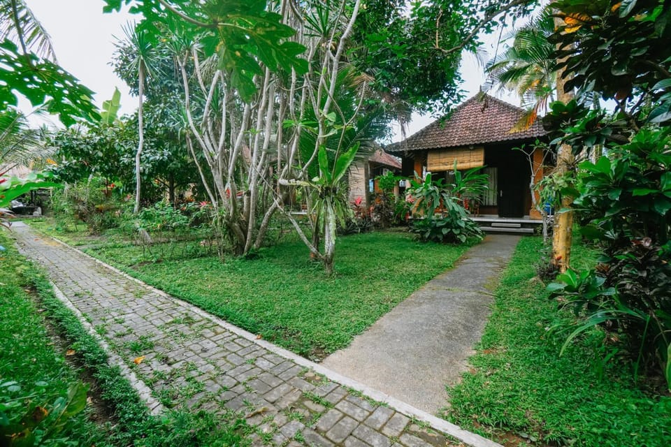 Property building, Spring, Day, Neighbourhood, Natural landscape, Garden, Garden view, Street view