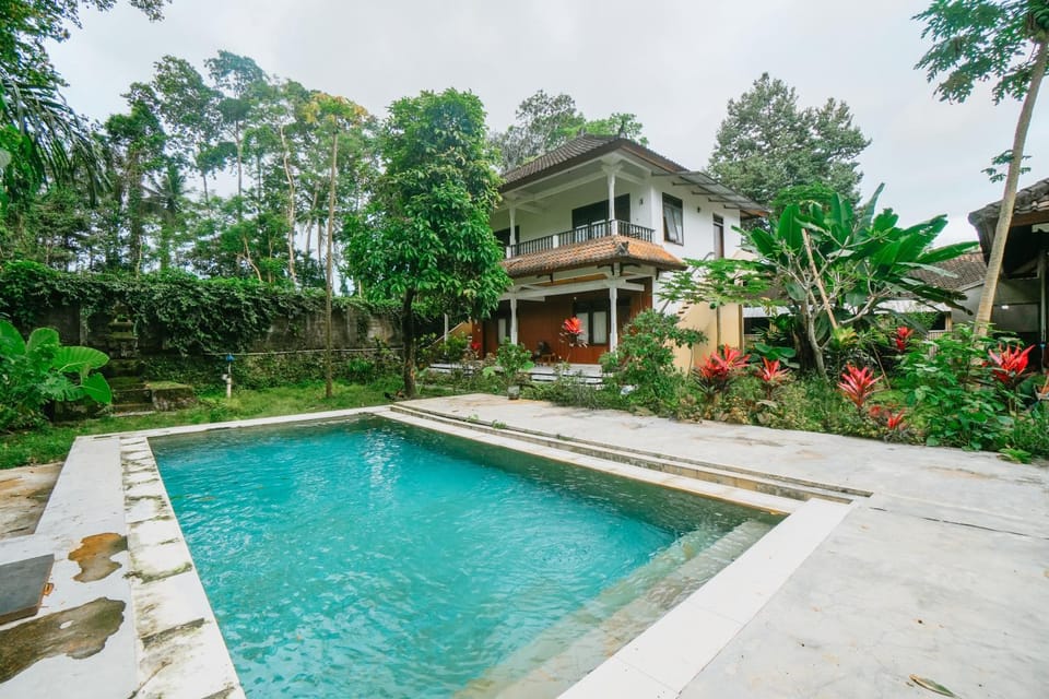 Property building, Spring, Day, Garden, Garden view, Pool view, Swimming pool