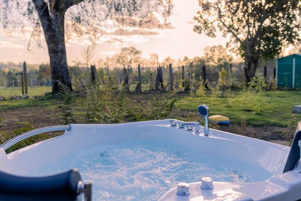 Natural landscape, Garden, Hot Tub, Garden view