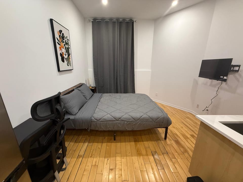 Cozy studio with Parking near downtown Apartment in Laval