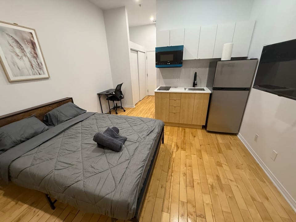 1 bedroom apartment near Montreal downtown with parking Apartment in Laval
