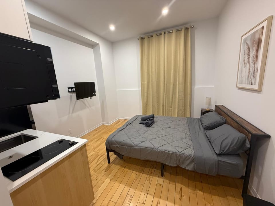 1 bedroom apartment near Montreal downtown with parking Apartment in Laval