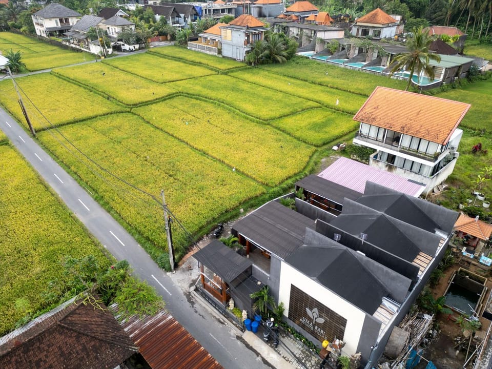 Day, Neighbourhood, Natural landscape, Location