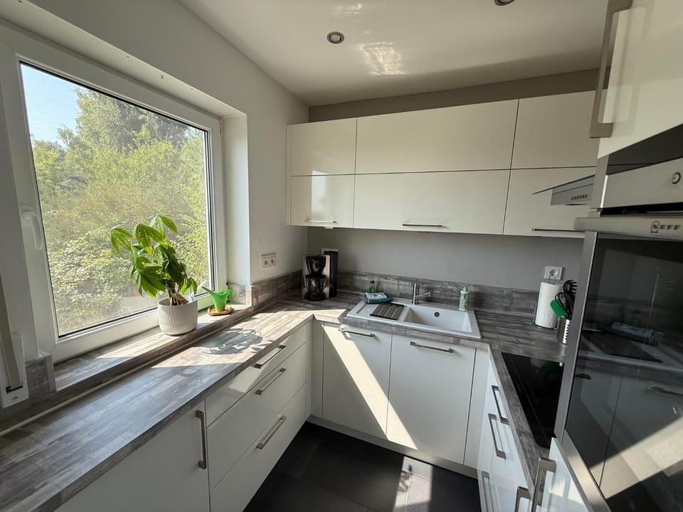 Kitchen or kitchenette, dishwasher